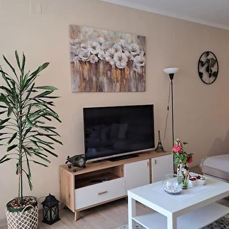 Holiday Home Apartment 布德瓦 外观 照片