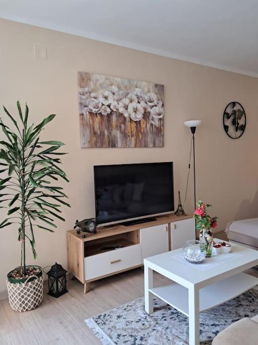 Holiday Home Apartment 布德瓦 外观 照片
