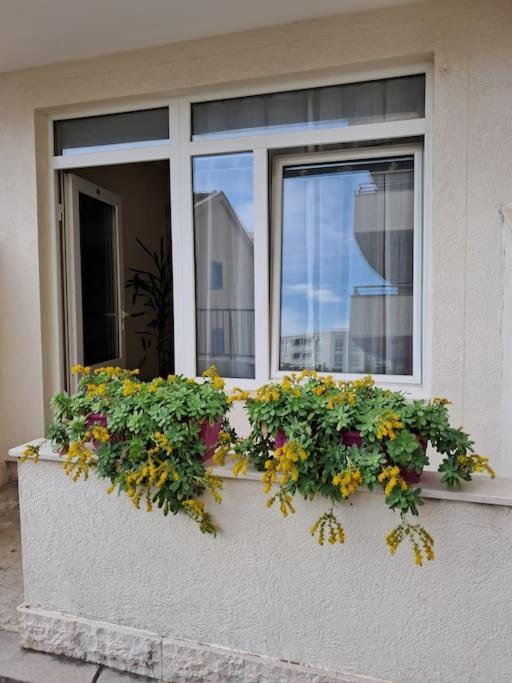 Holiday Home Apartment 布德瓦 外观 照片