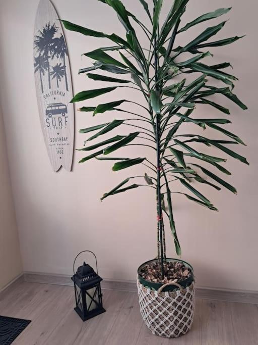 Holiday Home Apartment 布德瓦 外观 照片